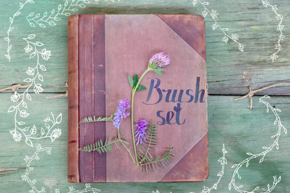 Download Set of Brushes for Adobe Illustrator - Illustrator Collection