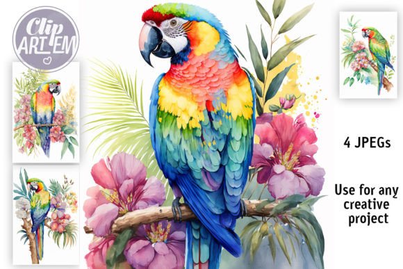 Download Tropical Parrot 4 JPEG Bundle Wall Art - Tropical Collection
